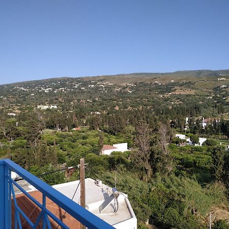 Apartament Anemone Bleu-Sea View-200M From Chora Pedestrian Ándros Zewnętrze zdjęcie